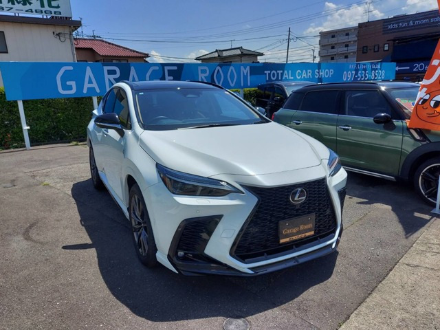 NX 350h Fスポーツ 