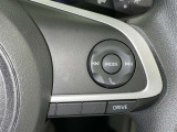 ステアリングスイッチ付き。前方から目を離すことなく操作することが可能です。