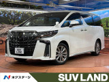 禁煙車 BIGX11型ナビ 両側電動ドア 後席モニター