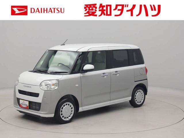 ムーヴキャンバス  ストライプス X