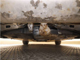 下廻りの状態