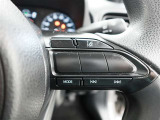 お車の販売やサービスで「安心安全で快適な移動」を提供する事はもちろんのこと、&ldquo;環境保全活動&rdquo;や、&ldquo;スポーツ振興&rdquo;など様々な場に参加させていただくことで、思いが現実になる事を信じて活動を続けています。