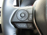 ステアリングスイッチは前方から目を離すことなく操作することが可能。わき見運転の防止に。