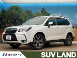 SDナビ レーダークルーズコントロール ルーフレール LEDライナー