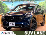 禁煙 10型ナビ 全周囲カメラ レーダークルーズ パワーバックドア