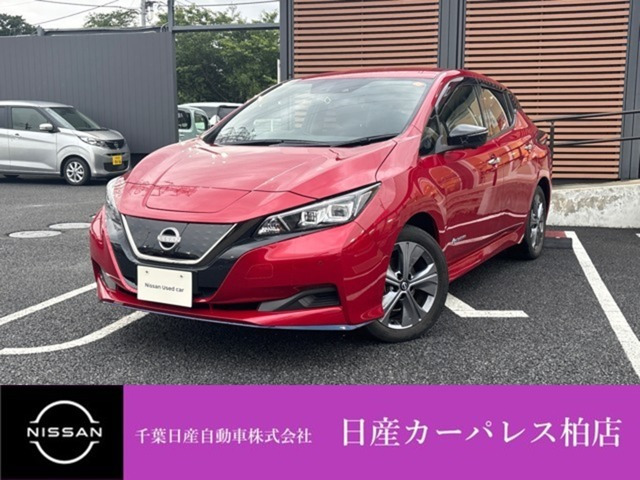 リーフ  e+ アーバンクロム
