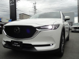 アダプティブLEDヘッドライトは30km/h以上で前方・対向車の部分のみ減光して照射することで相手ドライバーをまぶしくさせることなく明るい視界を確保し、95km/h以上ではヘッドランプの照射角度を上に