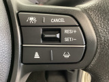 ハンドルにHondaセンシング系のクルーズコントロールやレーンキープアシストなどのスイッチが装備されています。ハンドルから手を離さず安全に操作できます。