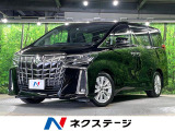 両側電動ドア 11インチナビ 後席モニター バックカメラ