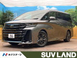 登録済未使用車 左右独立ムーンルーフ トヨタチームメイト サイドステップ
