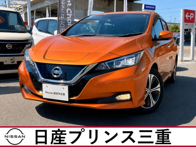 リーフ G 