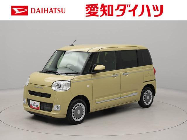 ムーヴキャンバス  セオリー G