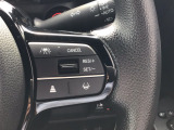 追従機能付オートクルーズ・路面逸脱防止付のSENSING
