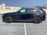 CX-80  XD D L PKG
