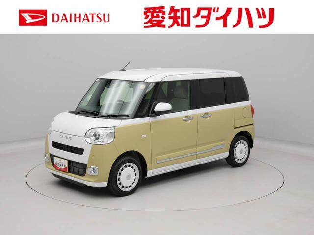 ムーヴキャンバス ストライプス G