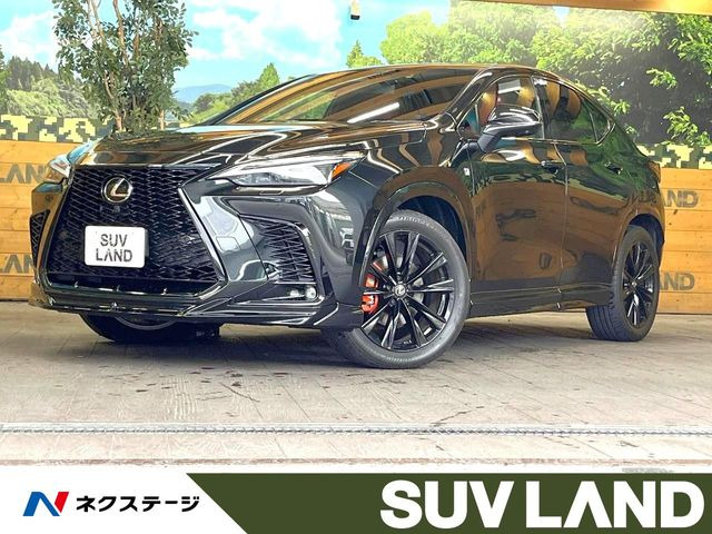 NX 350h Fスポーツ 