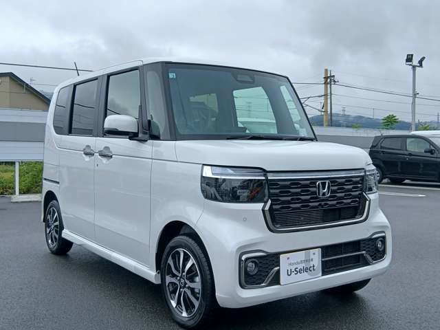 N-BOXカスタムコーディネートスタイル モノトーン 4WD