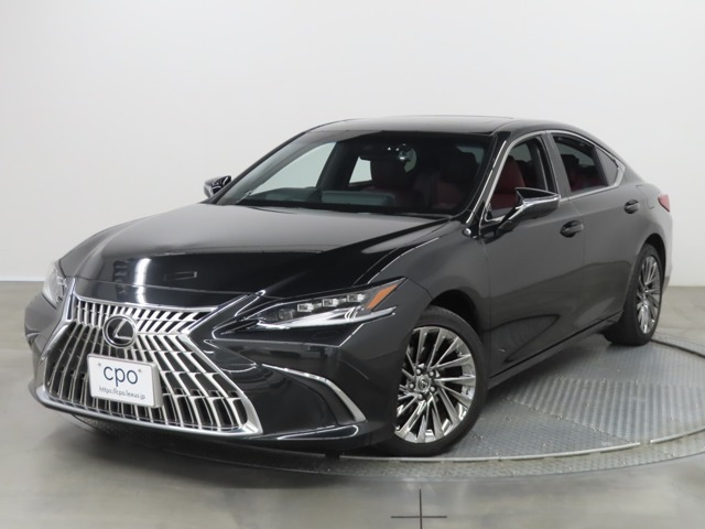 ES 300h