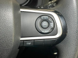 全車速追従機能付ACC(アダプティブクルーズコントロール)付