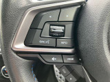 左側にオーデイオやナビのコントロールができるスイッチ、運転中は手を放さず手元で操作可能なんです!