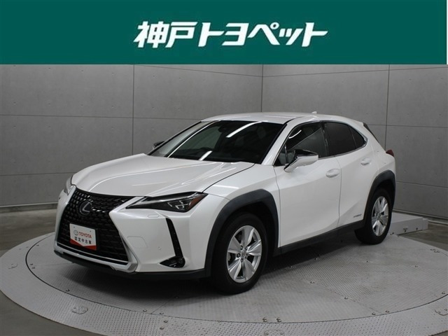 UX 250h バージョンC