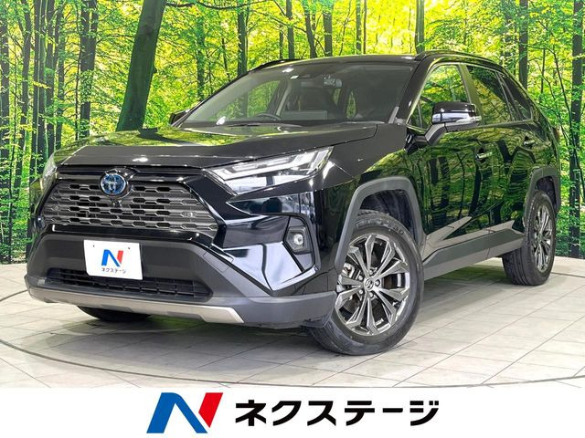 RAV4 2.5 ハイブリッド G E-Four 4WD （6AA-AXAH54）