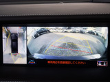360度全周囲カメラパノラミックビューモニター