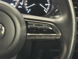 【レーダークルーズコントロール】従来のクルコンの機能に加え、先行車に接近すると、安全な車間距離を保ちながら先行車の車速に合わせ追従するシステム。