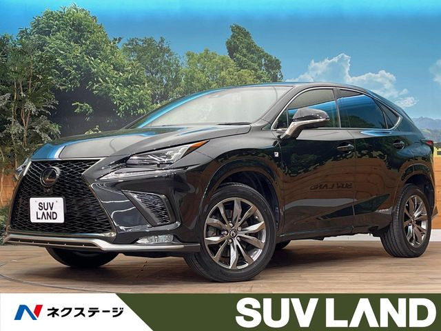 NX 300h Fスポーツ 