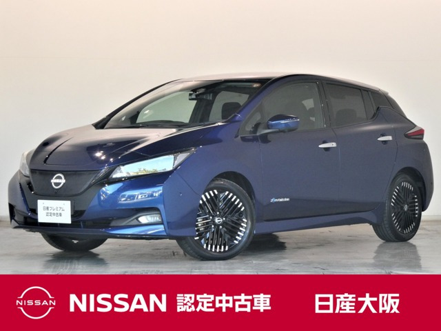 リーフ G 