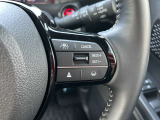 運転支援システムのスイッチになります。渋滞追従式の制御をしてくれますので、前方車両を検知して減速までサポートしてくれます