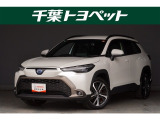 【メイン】 千葉・茨城・埼玉・東京・神奈川での登録、及びご来店いただける方への販売に限らせていただきます。