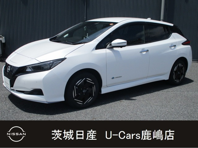 リーフ e+ X 