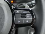 ◆アダプティブクルーズコントロール◆予め設定した車速内でクルマが自動的に加減速。前走車との適切な車間距離を維持しながら追従走行します。【LKAS】車線維持支援システムでステアリング操作を支援。