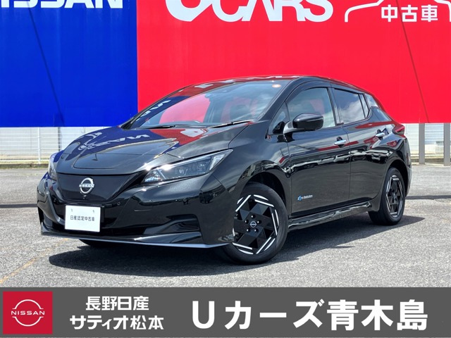 リーフ e+ X 