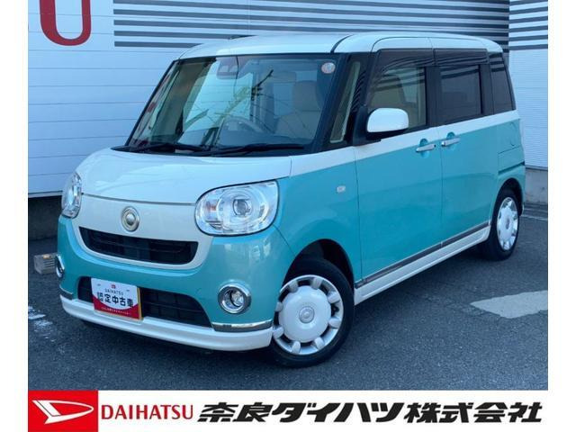 ムーヴキャンバス G メイクアップ SAIII 