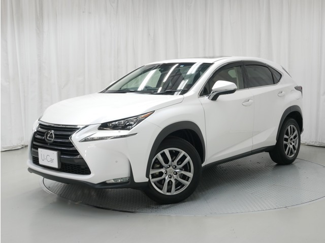 NX 300 バージョンL 4WD