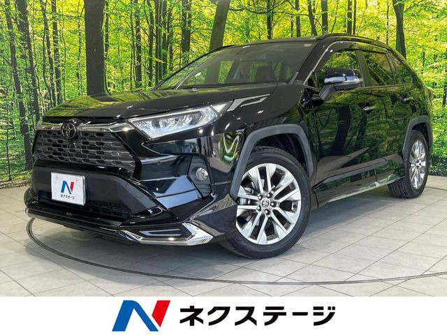 RAV4 2.0 G Zパッケージ 4WD （6BA-MXAA54）