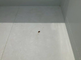 床にサビがあります。