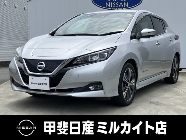 リーフ G