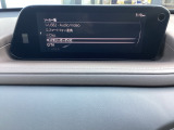 さまざまなオーディオソースが楽しめます!地デジつき!スマホとの連動も楽々です♪