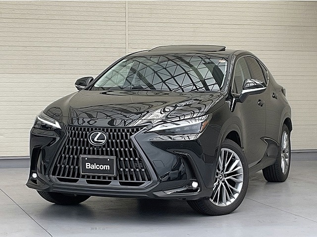 NX 250 バージョンL NX 250 バージョンL