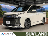 モデリスタ 三眼LED 純正10型DA 両側電動ドア バックカメラ 衝突