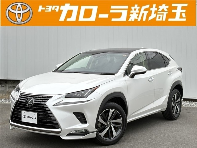 NX 300 Iパッケージ 