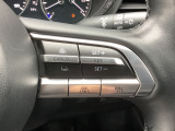 ミリ波レーダーで低速域〜高速域まで、先行車との車間を維持しながら追従走行を可能にします。長距離走行などでドライバーの負担を軽減します。