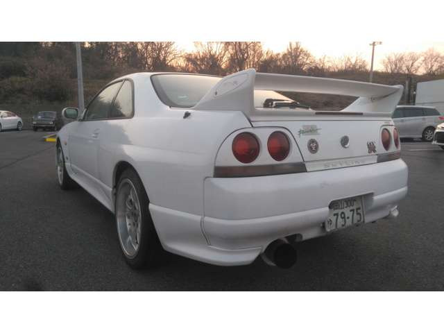 1996 Nissan Skyline GT-R 2.6 V-Spec 4WD 5MT 5 Twin Turbo photo 5