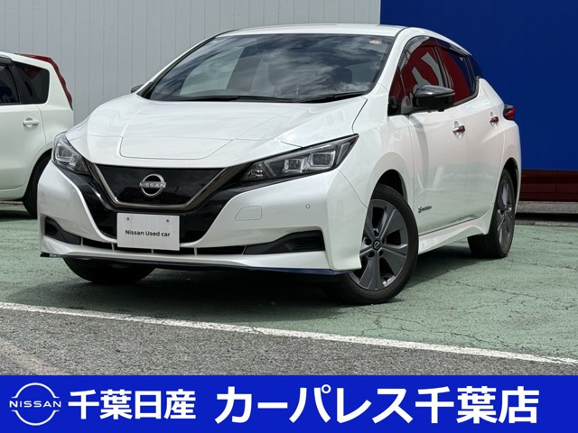 リーフ  e+ アーバンクロム