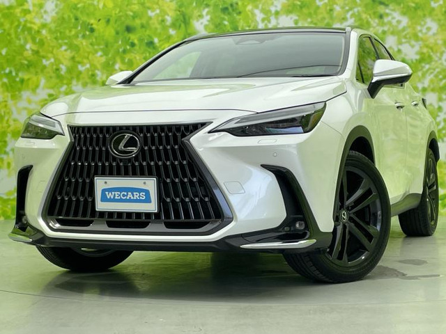 NX 350h バージョンL