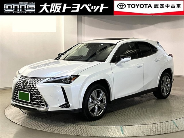UX 250h グレイスフル エクスプローラー 
