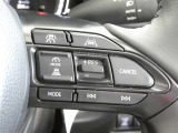 【便利装備】クルーズコントロールスイッチ☆希望の車速で定速走行する事ができます。高速道路を走る時に便利な機能です※設定速度には制限があります。